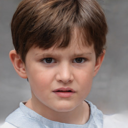 Neutral white child male with short  brown hair and brown eyes