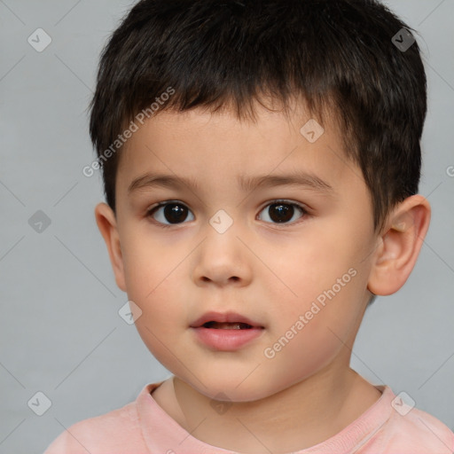 Neutral white child male with short  brown hair and brown eyes