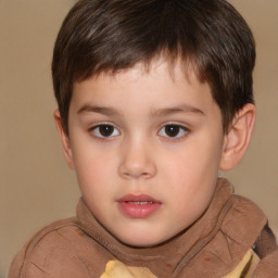 Neutral white child male with short  brown hair and brown eyes