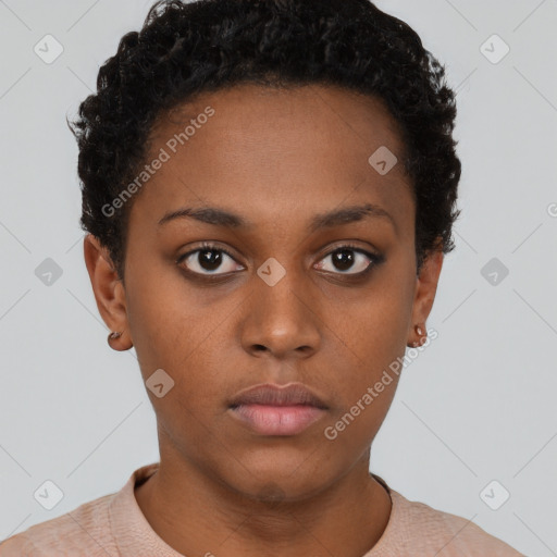 Neutral black young-adult female with short  brown hair and brown eyes