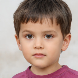 Neutral white child male with short  brown hair and brown eyes