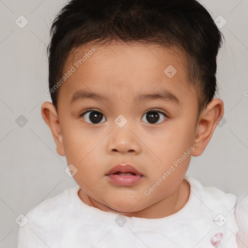 Neutral white child male with short  brown hair and brown eyes