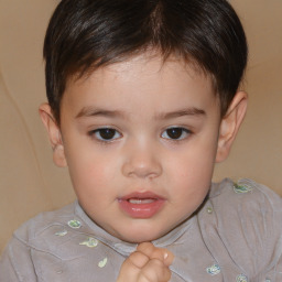 Neutral white child male with short  brown hair and brown eyes