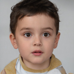 Neutral white child male with short  brown hair and brown eyes