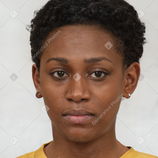 Neutral black young-adult female with short  brown hair and brown eyes