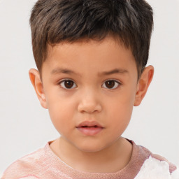 Neutral white child male with short  brown hair and brown eyes