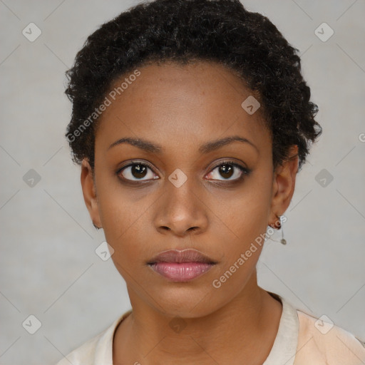 Neutral black young-adult female with short  brown hair and brown eyes