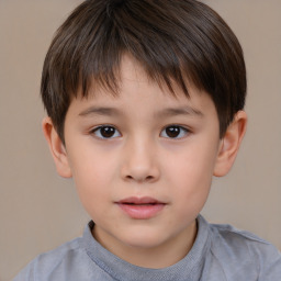 Neutral white child male with short  brown hair and brown eyes