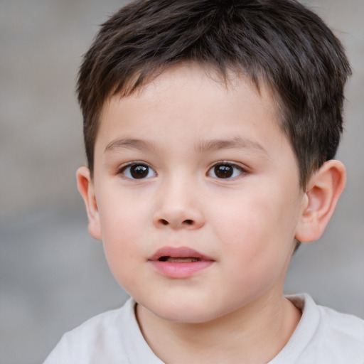 Neutral white child male with short  brown hair and brown eyes