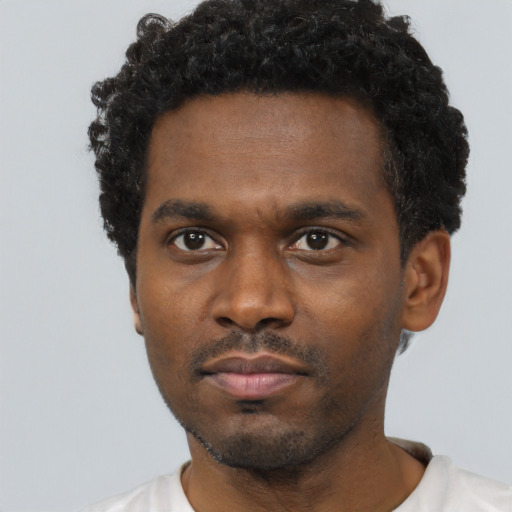 Neutral black young-adult male with short  black hair and brown eyes
