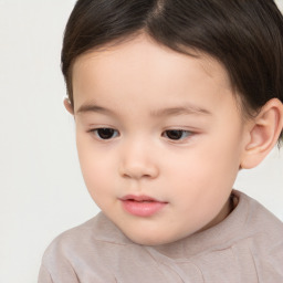 Neutral white child female with short  brown hair and brown eyes