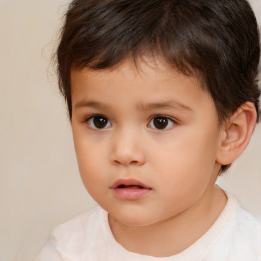 Neutral white child male with short  brown hair and brown eyes