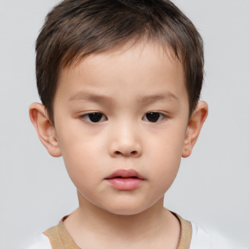 Neutral white child male with short  brown hair and brown eyes