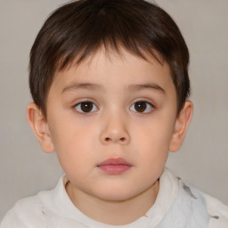 Neutral white child male with short  brown hair and brown eyes