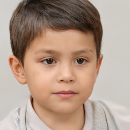 Neutral white child male with short  brown hair and brown eyes