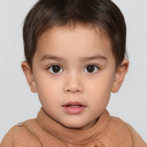 Neutral white child male with short  brown hair and brown eyes