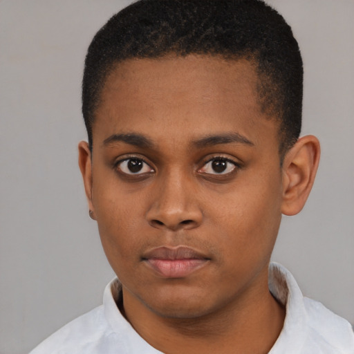 Neutral black young-adult male with short  black hair and brown eyes
