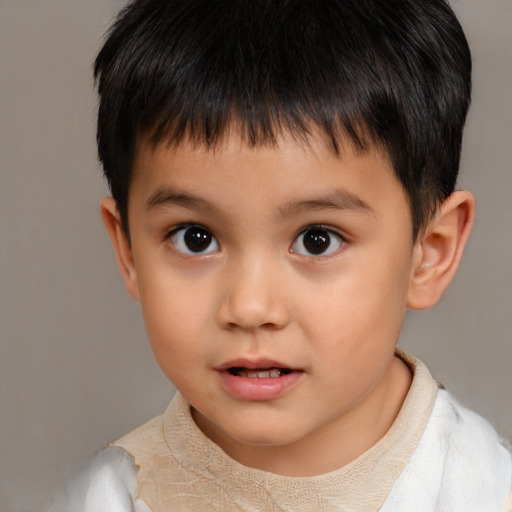 Neutral white child male with short  brown hair and brown eyes