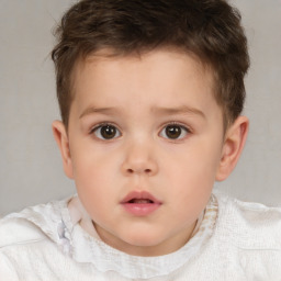 Neutral white child male with short  brown hair and brown eyes