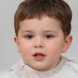 Neutral white child male with short  brown hair and brown eyes