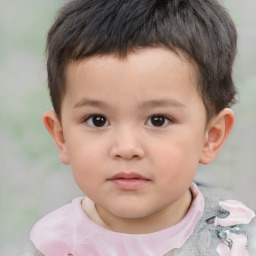 Neutral white child male with short  brown hair and brown eyes