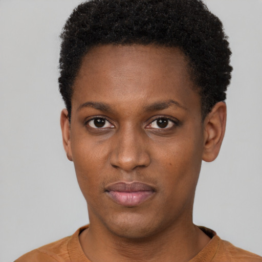 Neutral black young-adult female with short  black hair and brown eyes