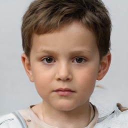 Neutral white child male with short  brown hair and brown eyes