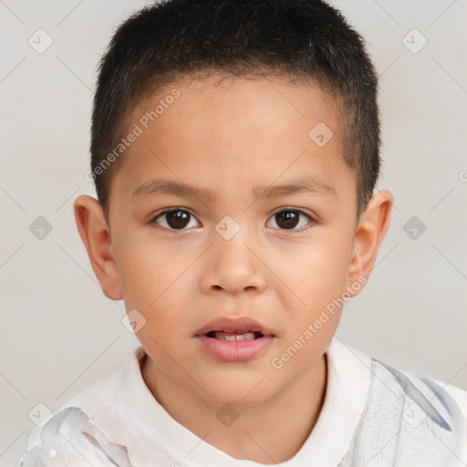 Neutral white child male with short  brown hair and brown eyes