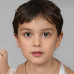 Neutral white child male with short  brown hair and brown eyes