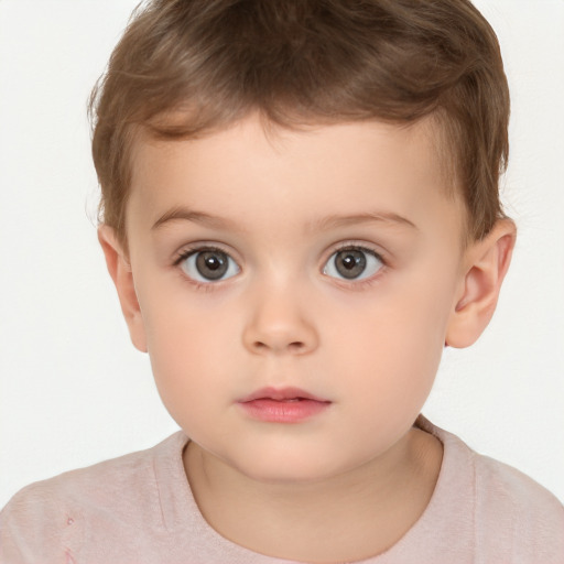 Neutral white child male with short  brown hair and brown eyes