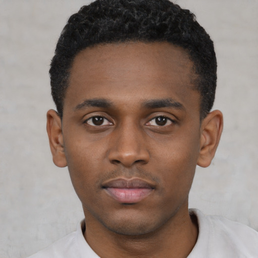 Neutral black young-adult male with short  black hair and brown eyes