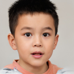 Neutral white child male with short  brown hair and brown eyes