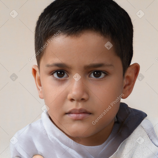 Neutral white child male with short  brown hair and brown eyes