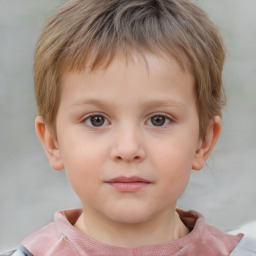 Neutral white child male with short  brown hair and brown eyes