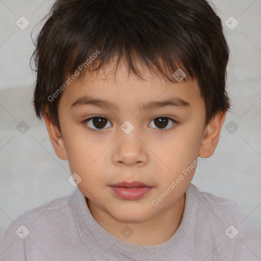 Neutral white child male with short  brown hair and brown eyes