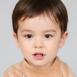 Neutral white child male with short  brown hair and brown eyes