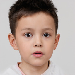 Neutral white child male with short  brown hair and brown eyes