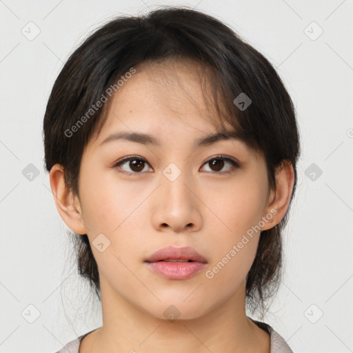 Neutral asian young-adult female with medium  brown hair and brown eyes