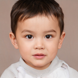 Neutral white child male with short  brown hair and brown eyes