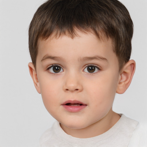 Neutral white child male with short  brown hair and brown eyes