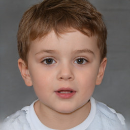 Neutral white child male with short  brown hair and brown eyes