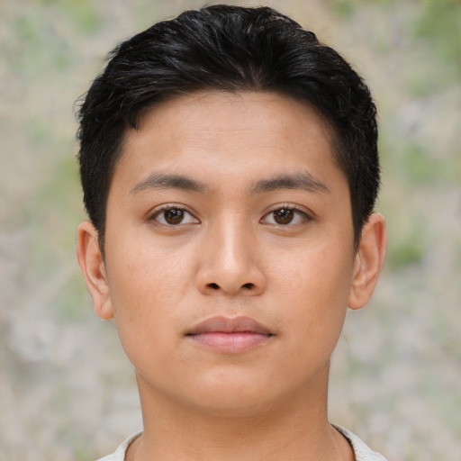 Neutral asian young-adult female with short  brown hair and brown eyes