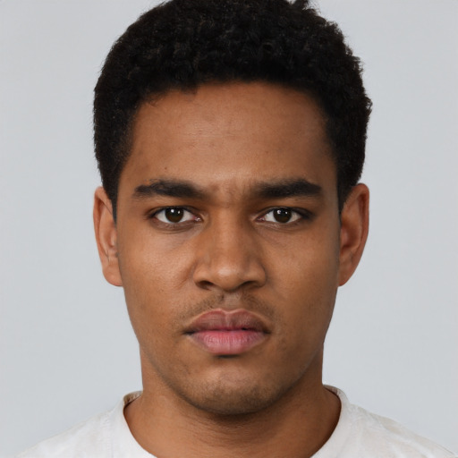 Neutral black young-adult male with short  black hair and brown eyes