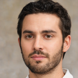 Neutral white young-adult male with short  black hair and brown eyes