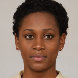 Neutral black young-adult female with short  brown hair and brown eyes