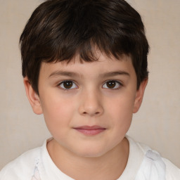 Neutral white child male with short  brown hair and brown eyes