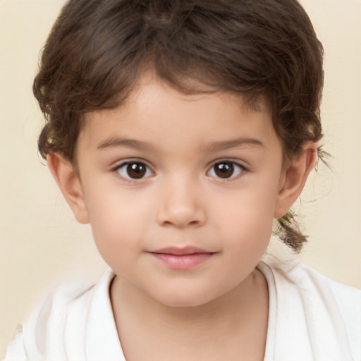 Neutral white child male with short  brown hair and brown eyes