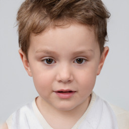 Neutral white child male with short  brown hair and brown eyes