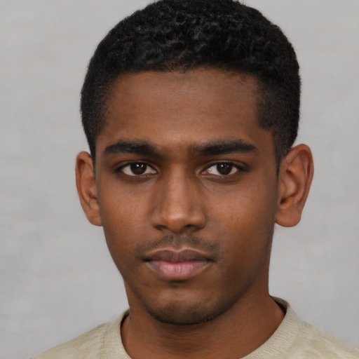 Neutral black young-adult male with short  black hair and brown eyes