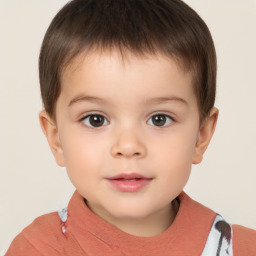 Neutral white child male with short  brown hair and brown eyes